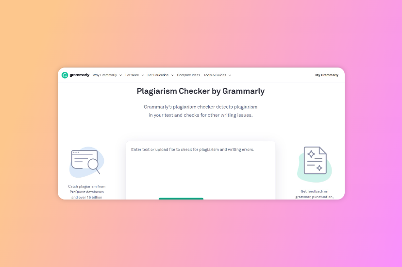Plagiarism Checker